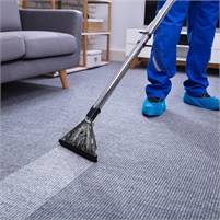  CarpetCleaning Chicago